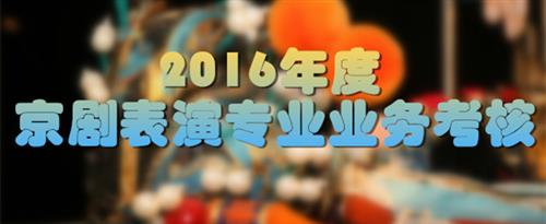 黑逼影院av国家京剧院2016年度京剧表演专业业务考...